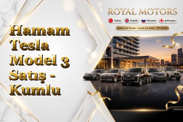 Hamam Tesla Model 3 Satış - Kumlu