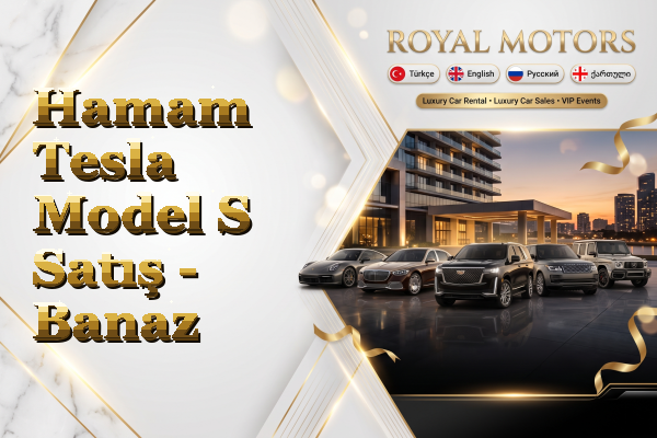 Hamam Tesla Model S Satış - Banaz