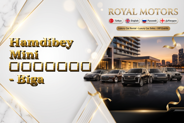 Hamdibey Mini გაყიდვა - Biga