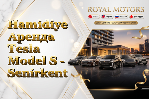Hamidiye Аренда Tesla Model S - Senirkent