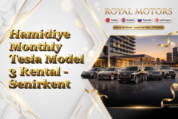 Hamidiye Monthly Tesla Model 3 Rental - Senirkent