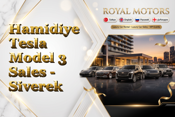 Hamidiye Tesla Model 3 Sales - Siverek