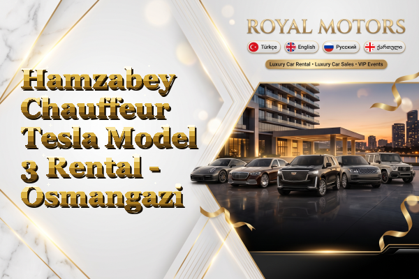 Hamzabey Chauffeur Tesla Model 3 Rental - Osmangazi
