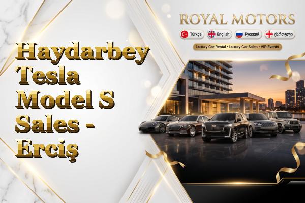 Haydarbey Tesla Model S Sales - Erciş