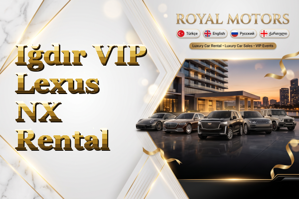 Iğdır VIP Lexus NX Rental