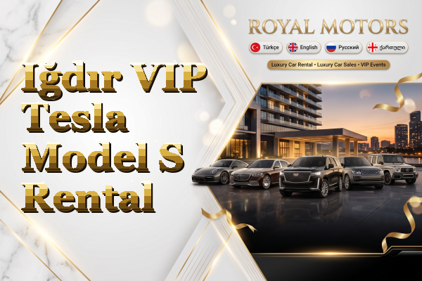 Iğdır VIP Tesla Model S Rental
