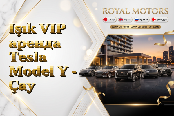 Işık VIP аренда Tesla Model Y - Çay