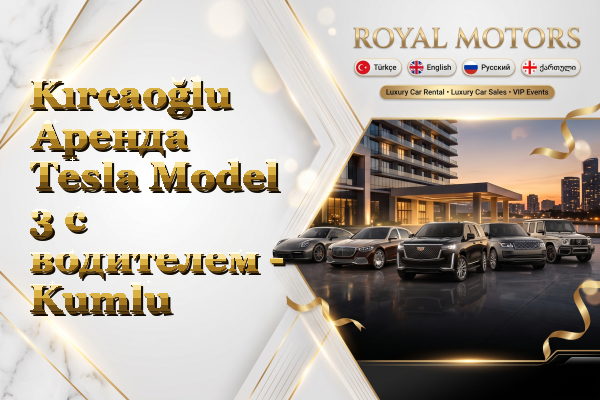 Kırcaoğlu Аренда Tesla Model 3 с водителем - Kumlu