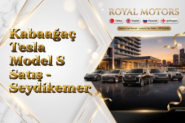Kabaağaç Tesla Model S Satış - Seydikemer