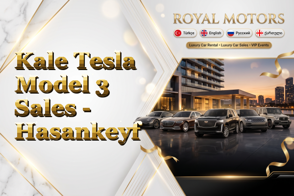 Kale Tesla Model 3 Sales - Hasankeyf