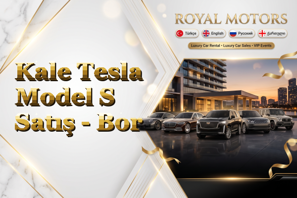 Kale Tesla Model S Satış - Bor