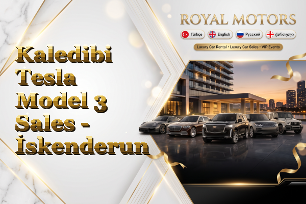 Kaledibi Tesla Model 3 Sales - İskenderun