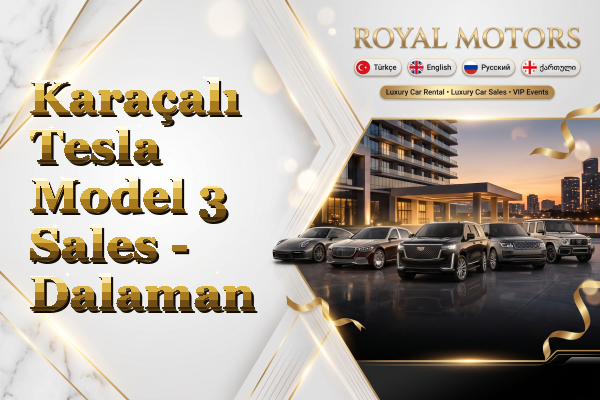 Karaçalı Tesla Model 3 Sales - Dalaman