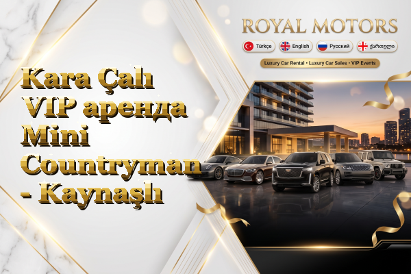 Kara Çalı VIP аренда Mini Countryman - Kaynaşlı