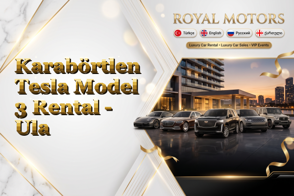 Karabörtlen Tesla Model 3 Rental - Ula
