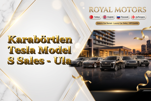 Karabörtlen Tesla Model S Sales - Ula