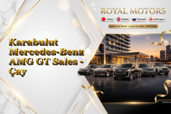 Karabulut Mercedes-Benz AMG GT Sales - Çay