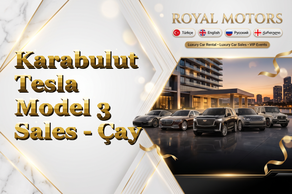 Karabulut Tesla Model 3 Sales - Çay