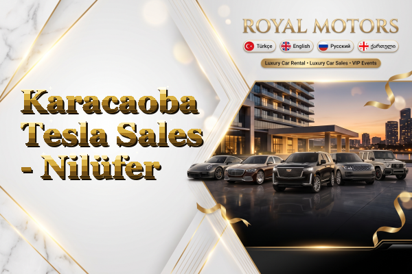 Karacaoba Tesla Sales - Nilüfer