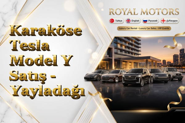 Karaköse Tesla Model Y Satış - Yayladağı