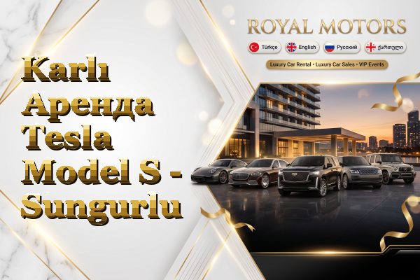 Karlı Аренда Tesla Model S - Sungurlu