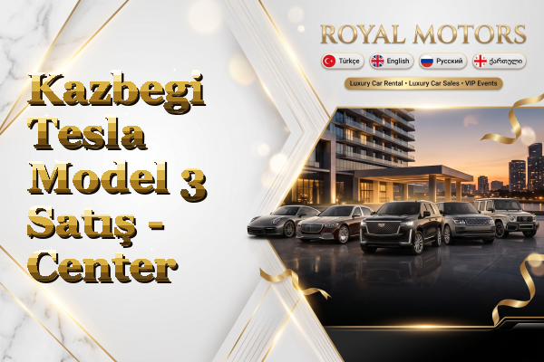 Kazbegi Tesla Model 3 Satış - Center