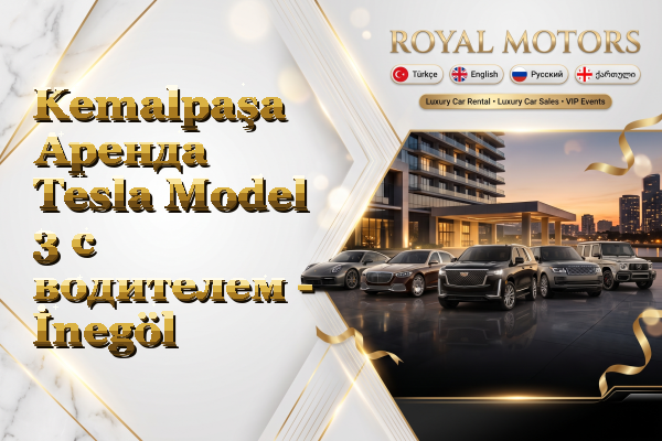 Kemalpaşa Аренда Tesla Model 3 с водителем - İnegöl