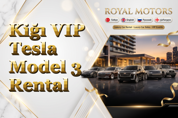 Kiğı VIP Tesla Model 3 Rental