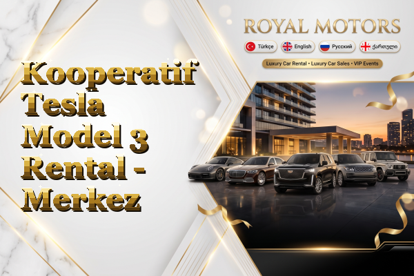 Kooperatif Tesla Model 3 Rental - Merkez