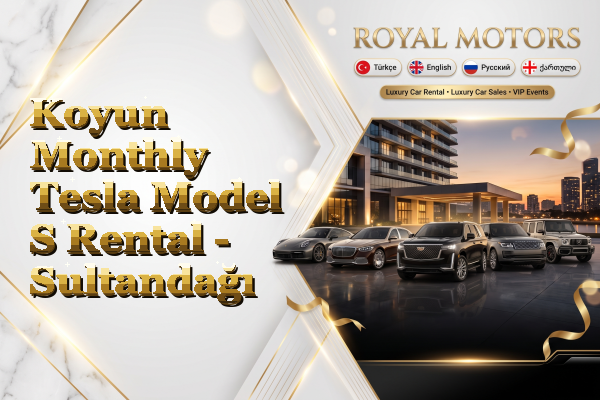 Koyun Monthly Tesla Model S Rental - Sultandağı