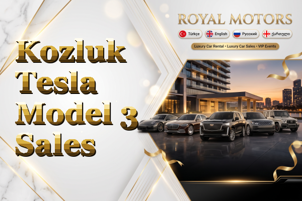 Kozluk Tesla Model 3 Sales