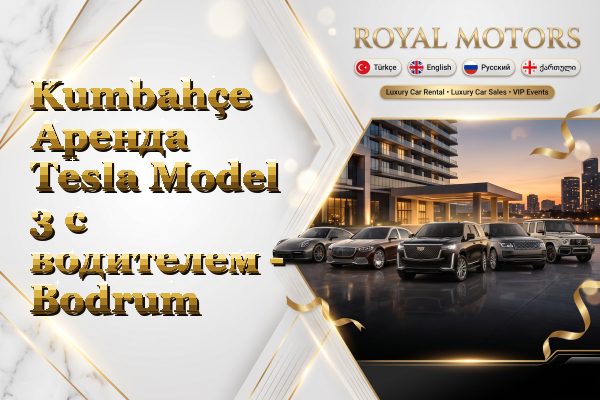 Kumbahçe Аренда Tesla Model 3 с водителем - Bodrum