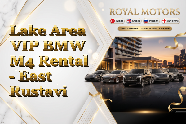Lake Area VIP BMW M4 Rental - East Rustavi