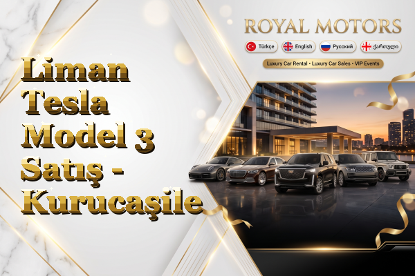 Liman Tesla Model 3 Satış - Kurucaşile