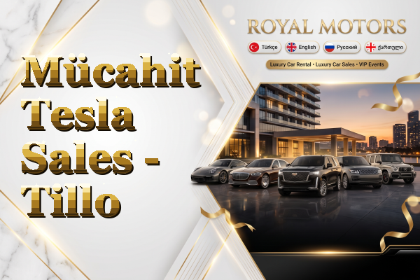 Mücahit Tesla Sales - Tillo