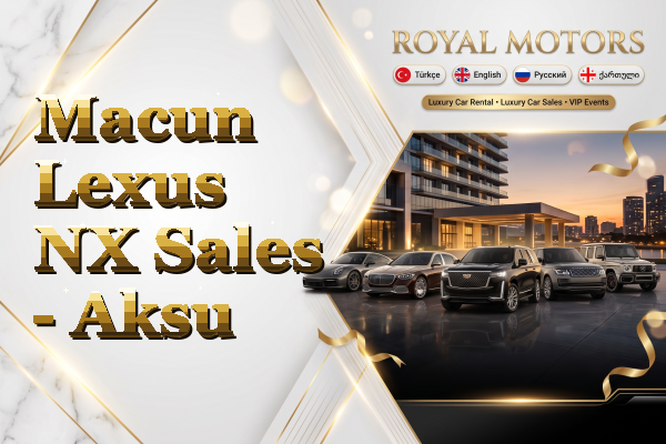 Macun Lexus NX Sales - Aksu