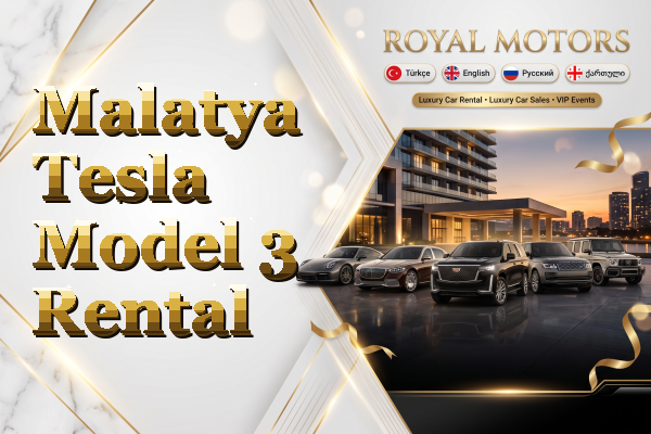 Malatya Tesla Model 3 Rental