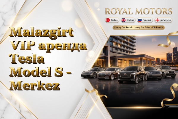 Malazgirt VIP аренда Tesla Model S - Merkez