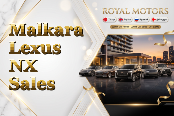 Malkara Lexus NX Sales