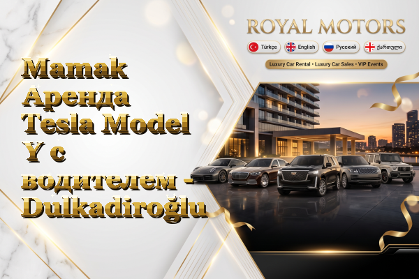 Mamak Аренда Tesla Model Y с водителем - Dulkadiroğlu