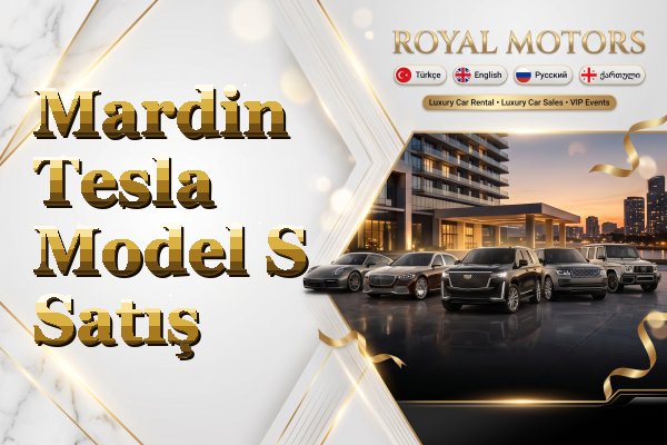Mardin Tesla Model S Satış