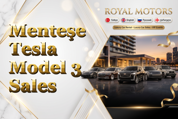 Menteşe Tesla Model 3 Sales