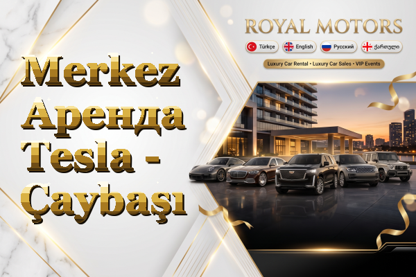 Merkez Аренда Tesla - Çaybaşı