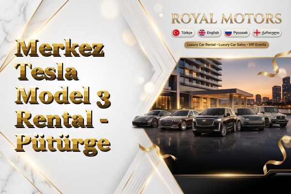 Merkez Tesla Model 3 Rental - Pütürge