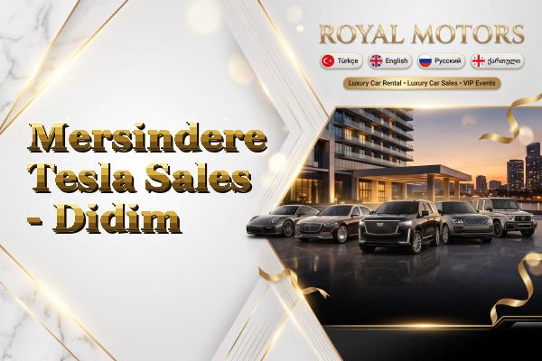 Mersindere Tesla Sales - Didim