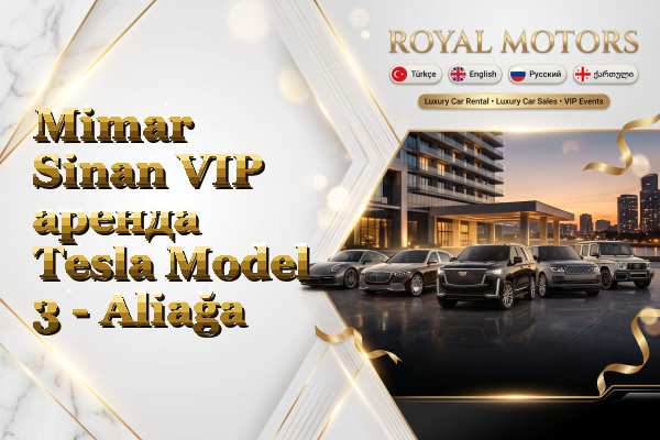 Mimar Sinan VIP аренда Tesla Model 3 - Aliağa
