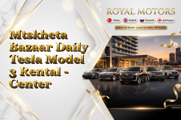 Mtskheta Bazaar Daily Tesla Model 3 Rental - Center