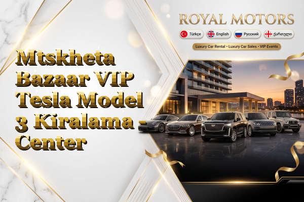 Mtskheta Bazaar VIP Tesla Model 3 Kiralama - Center