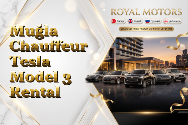 Muğla Chauffeur Tesla Model 3 Rental