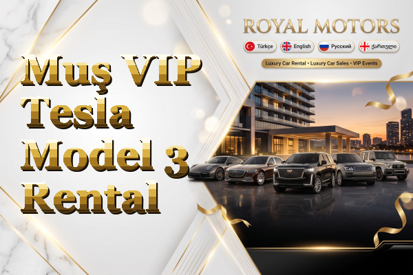 Muş VIP Tesla Model 3 Rental